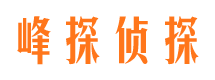 南郊市侦探